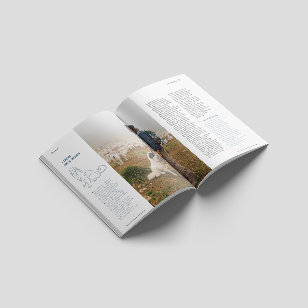 guide_cdt03